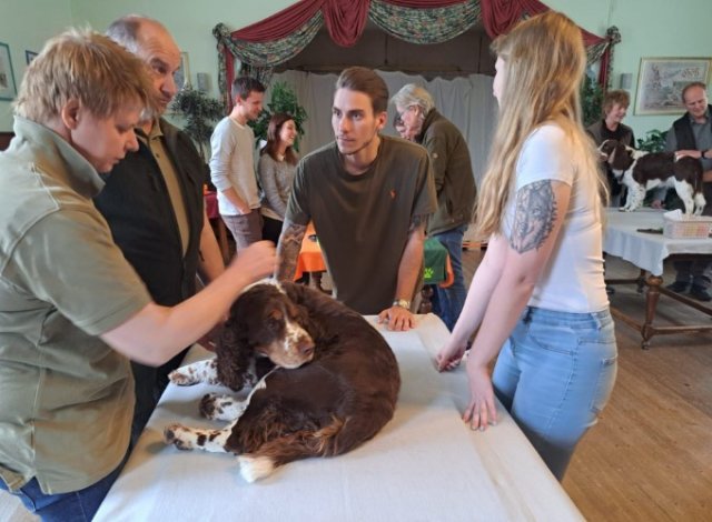 Erste Hilfe für den Hund